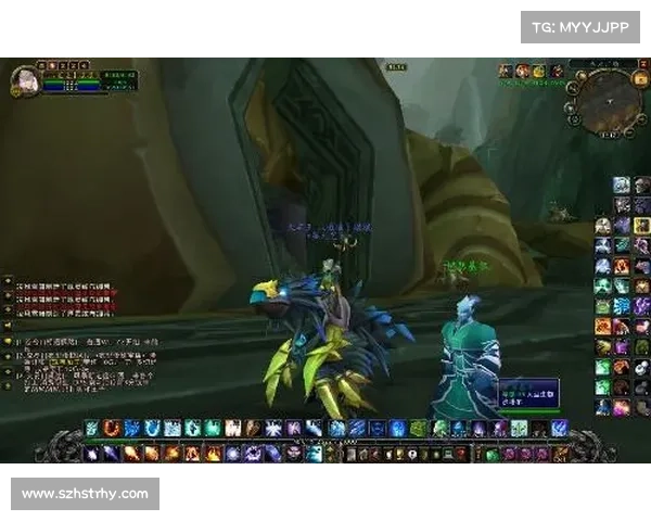 魔兽世界牧师：法杖高伤害治疗